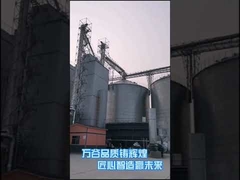 농업 드라이어 기계를 가열시키는 500T/D 옥수수 건조장치 열풍