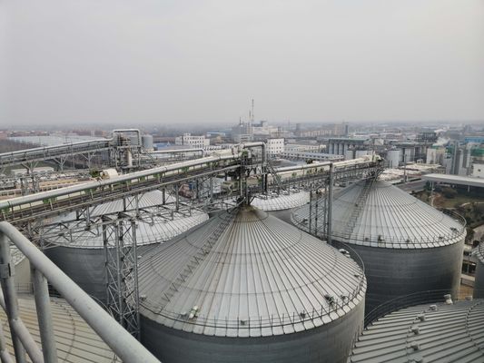 밀폐 및 손상 방지 기술 강철 곡물 사일로 (농업 산업의 중요한 보존)